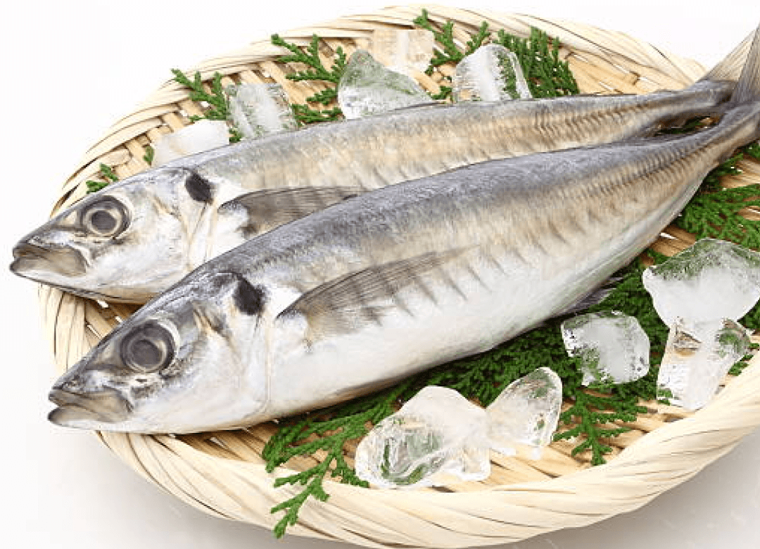 Jesh Fish Benefits : A Nutritional Powerhouse for Your Diet