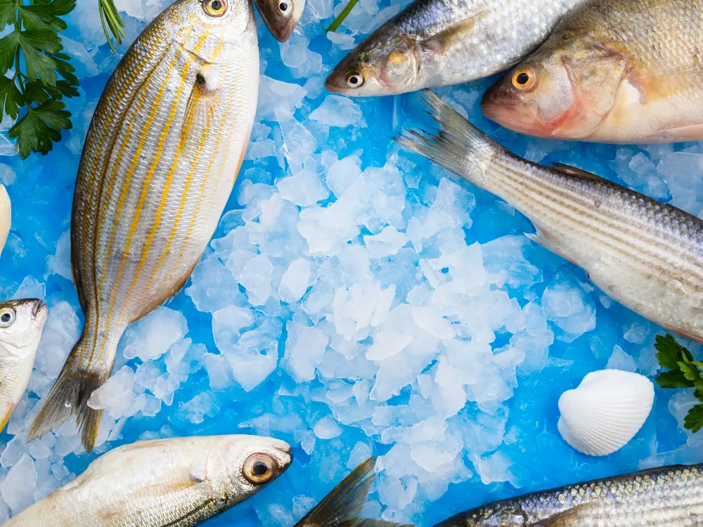 best seafood open buffet in dubai
