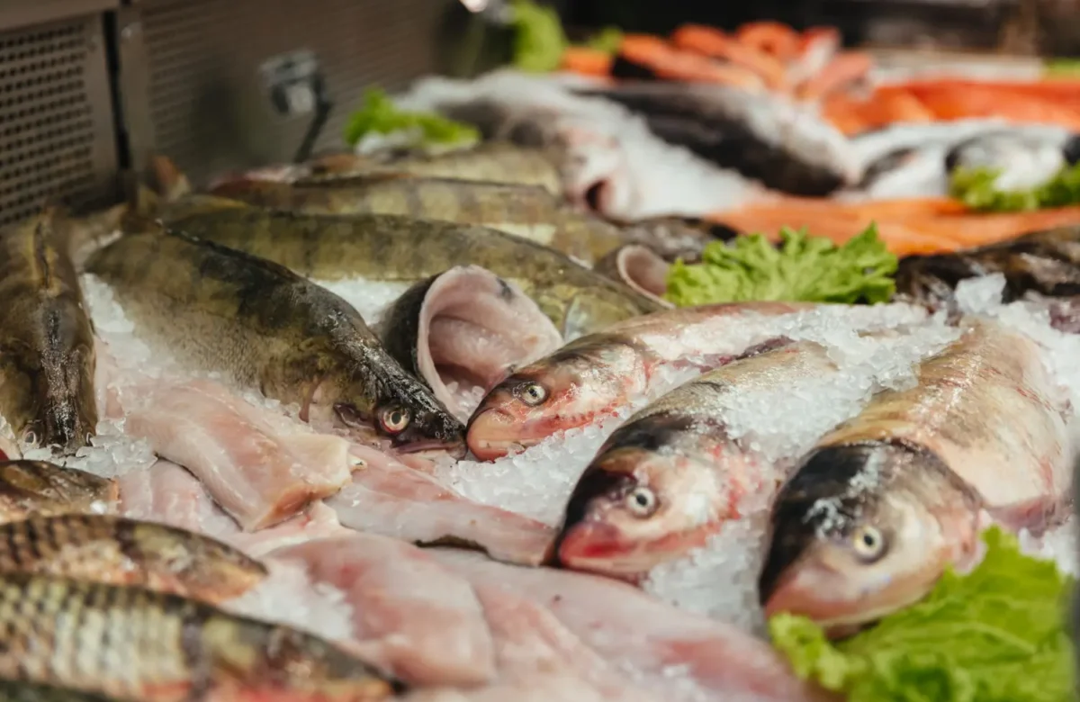 Fresh Seafood Market Near Me – Find the Best Local Fish
