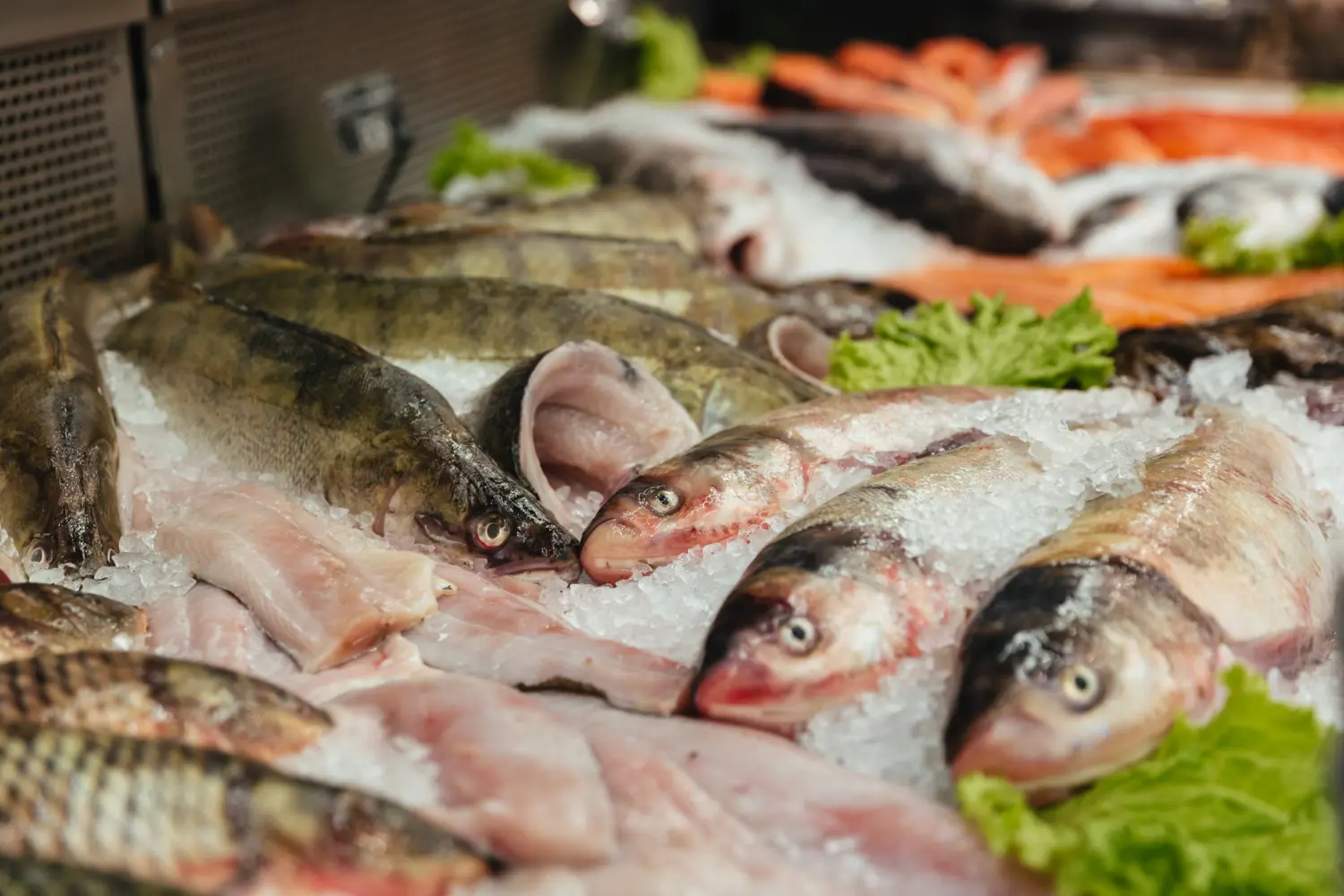 Fresh Seafood Market Near Me – Find the Best Local Fish