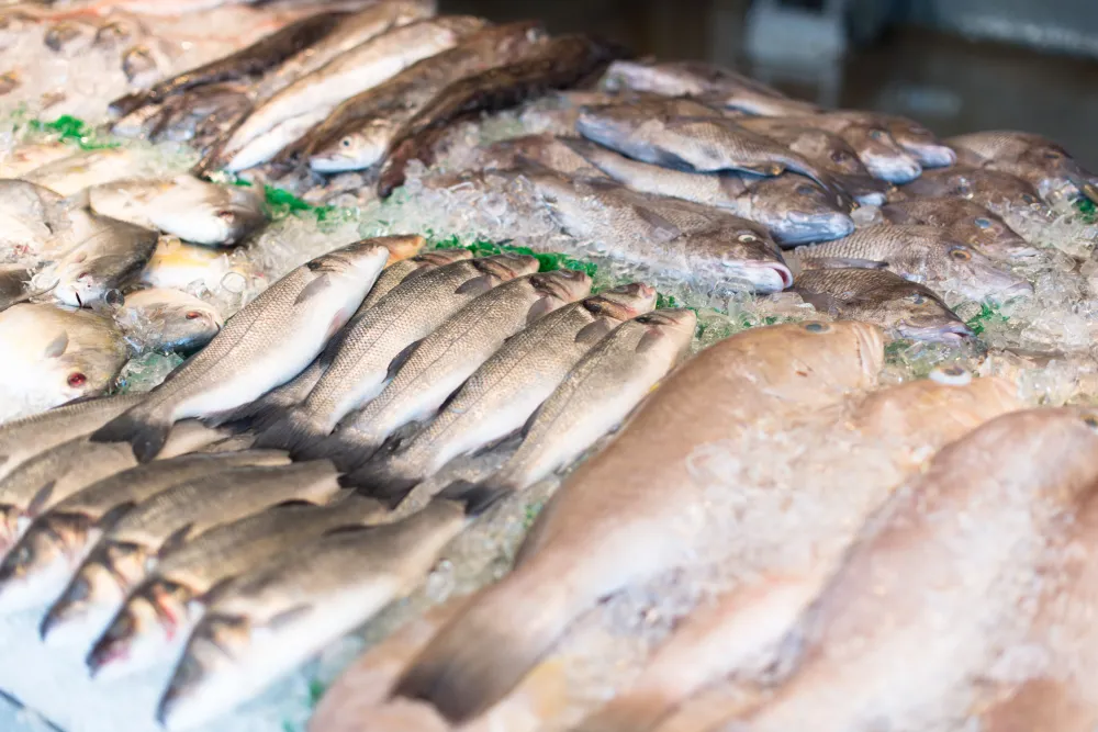 Seafood shipped to me